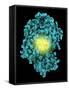 Bioluminescent Enzyme Molecule-Laguna Design-Framed Stretched Canvas