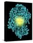 Bioluminescent Enzyme Molecule-Laguna Design-Stretched Canvas