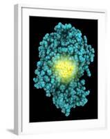 Bioluminescent Enzyme Molecule-Laguna Design-Framed Photographic Print