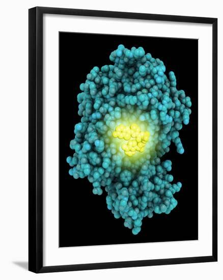 Bioluminescent Enzyme Molecule-Laguna Design-Framed Photographic Print