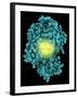 Bioluminescent Enzyme Molecule-Laguna Design-Framed Photographic Print