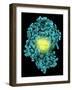 Bioluminescent Enzyme Molecule-Laguna Design-Framed Photographic Print