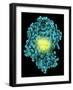 Bioluminescent Enzyme Molecule-Laguna Design-Framed Photographic Print
