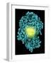 Bioluminescent Enzyme Molecule-Laguna Design-Framed Photographic Print