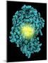 Bioluminescent Enzyme Molecule-Laguna Design-Mounted Photographic Print