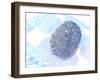 Biometric Fingerprint Scan, Artwork-PASIEKA-Framed Photographic Print