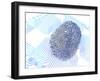 Biometric Fingerprint Scan, Artwork-PASIEKA-Framed Photographic Print