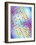 Biometric Fingerprint Scan-PASIEKA-Framed Photographic Print