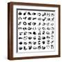 Brown Frame
