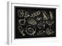 White Frame