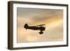 Biplane fly-by at Madras Airshow, Oregon.-William Sutton-Framed Photographic Print