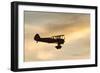 Biplane fly-by at Madras Airshow, Oregon.-William Sutton-Framed Photographic Print