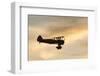 Biplane fly-by at Madras Airshow, Oregon.-William Sutton-Framed Photographic Print