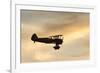 Biplane fly-by at Madras Airshow, Oregon.-William Sutton-Framed Photographic Print