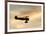 Biplane fly-by at Madras Airshow, Oregon.-William Sutton-Framed Photographic Print