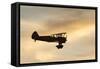 Biplane fly-by at Madras Airshow, Oregon.-William Sutton-Framed Stretched Canvas