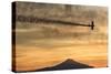 Biplane fly-by at Madras Airshow, Oregon.-William Sutton-Stretched Canvas
