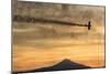 Biplane fly-by at Madras Airshow, Oregon.-William Sutton-Mounted Photographic Print