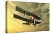 Biplane Flying in the Sky by Sunset-Stocktrek Images-Stretched Canvas