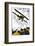 Biplane-Found Image Press-Framed Photographic Print