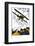 Biplane-Found Image Press-Framed Photographic Print