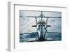 Biplane-frankpeters-Framed Photographic Print