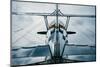 Biplane-frankpeters-Mounted Photographic Print