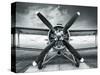 Biplane-frankpeters-Stretched Canvas