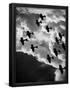 Essential Black