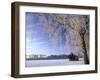 Birch and Hut, Frost Covered Birch Tree and Hut in Winter-null-Framed Photographic Print