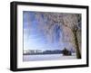 Birch and Hut, Frost Covered Birch Tree and Hut in Winter-null-Framed Photographic Print