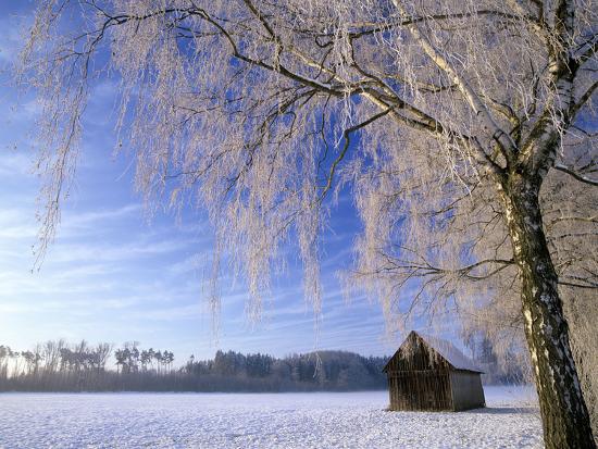 Premium Photographic Print, , large