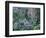 Birch and Wildflowers, Great Smoky Mountains National Park, Tennessee, USA-Darrell Gulin-Framed Photographic Print