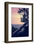 Birch At The Overlook-Michelle Calkins-Framed Photo