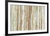 Birch Bark-Allison Pearce-Framed Art Print