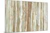 Birch Bark-Allison Pearce-Mounted Art Print