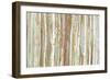 Birch Bark-Allison Pearce-Framed Premium Giclee Print