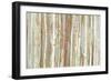 Birch Bark-Allison Pearce-Framed Premium Giclee Print