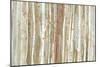 Birch Bark-Allison Pearce-Mounted Premium Giclee Print