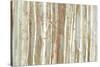 Birch Bark-Allison Pearce-Stretched Canvas