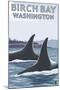 Birch Bay, Washington, Orca Fins-Lantern Press-Mounted Art Print