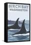 Birch Bay, Washington, Orca Fins-Lantern Press-Framed Stretched Canvas