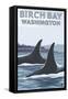 Birch Bay, Washington, Orca Fins-Lantern Press-Framed Stretched Canvas