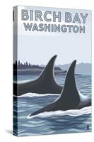 Birch Bay, Washington, Orca Fins-Lantern Press-Stretched Canvas
