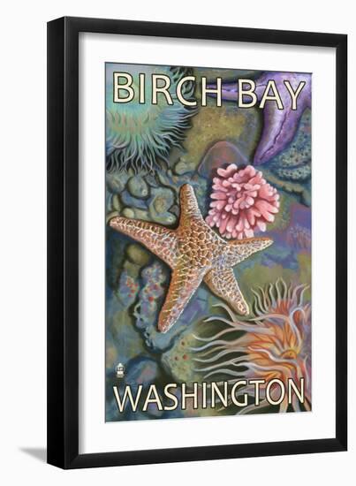 Birch Bay, Washington, Tidepool Scene-Lantern Press-Framed Art Print