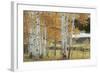 Birch Beauty-Mike Jones-Framed Giclee Print