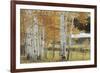 Birch Beauty-Mike Jones-Framed Giclee Print