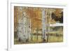 Birch Beauty-Mike Jones-Framed Giclee Print