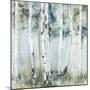 Birch Blue Forest-Allison Pearce-Mounted Art Print
