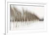 Birch Blur I-Larry Malvin-Framed Photographic Print